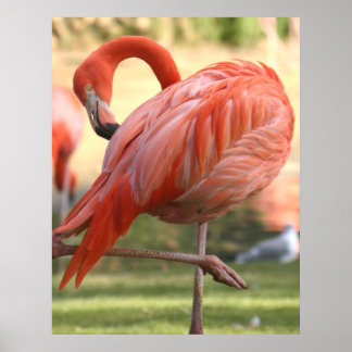 Poster Joli en rose