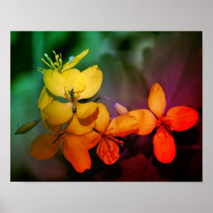 Poster Joli Fleurs sauvages Jaunes Abstraits 