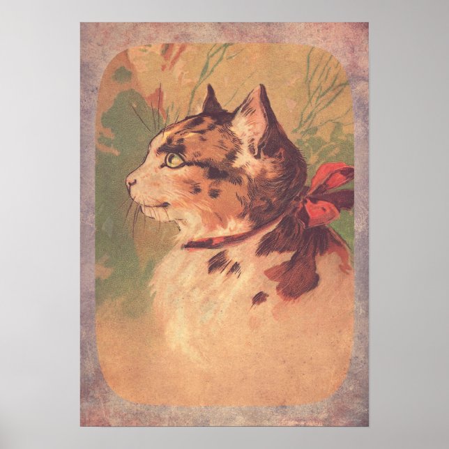 Poster Joli Kitty Vintage (Devant)
