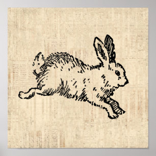 Poster Joli lapin Lapin Vintage Illustration Script Art