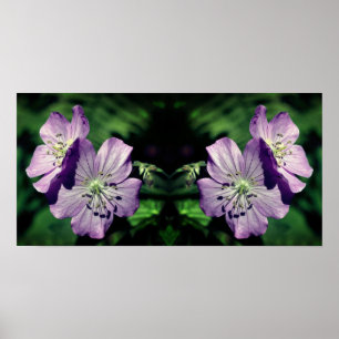 Poster Joli Miroir de paire de fleurs de géranium violet