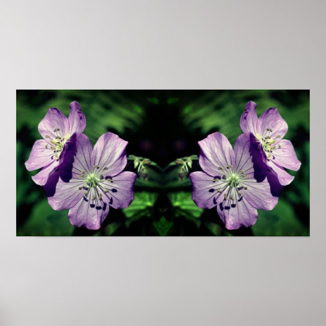 Poster Joli Miroir de paire de fleurs de géranium violet  (Devant)
