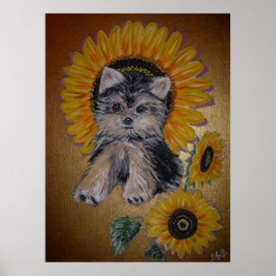 Poster Joli petit chien et tournesols