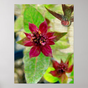 Poster Joli Plante 2