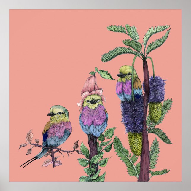 Poster Joli rose Lilac Roulon Arborescent (Devant)