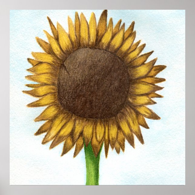 Poster Joli tournesol (Devant)