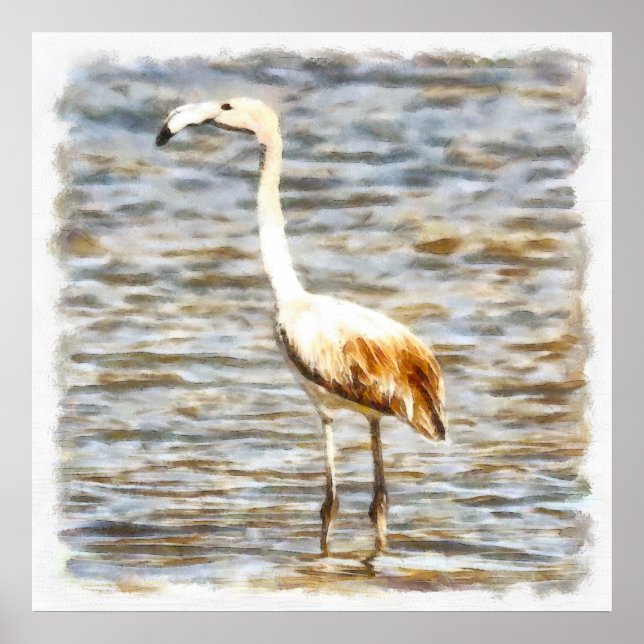 Poster Jolie aquarelle Flamant rose (Devant)