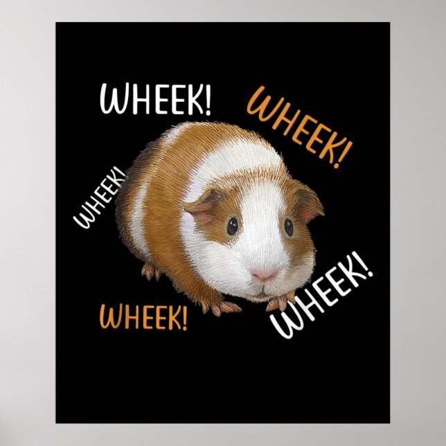 Poster Jolie et drôle Wheek - Guinéen Propriétaire de Coc (Devant)