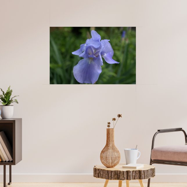 Poster Jolie fenêtre Fleur Iris (Salon 3)