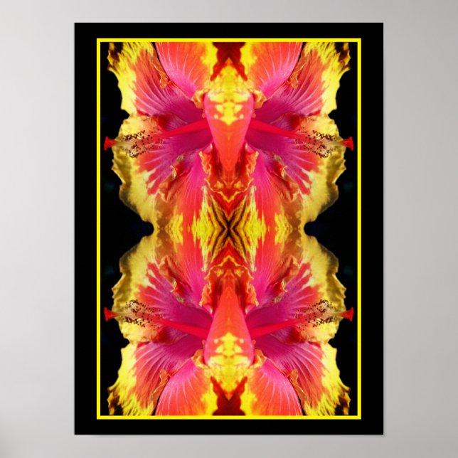 Poster Jolie fleur d'Hibiscus Fermer Abstraite (Devant)