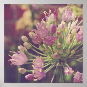 Poster Jolie fleur violette