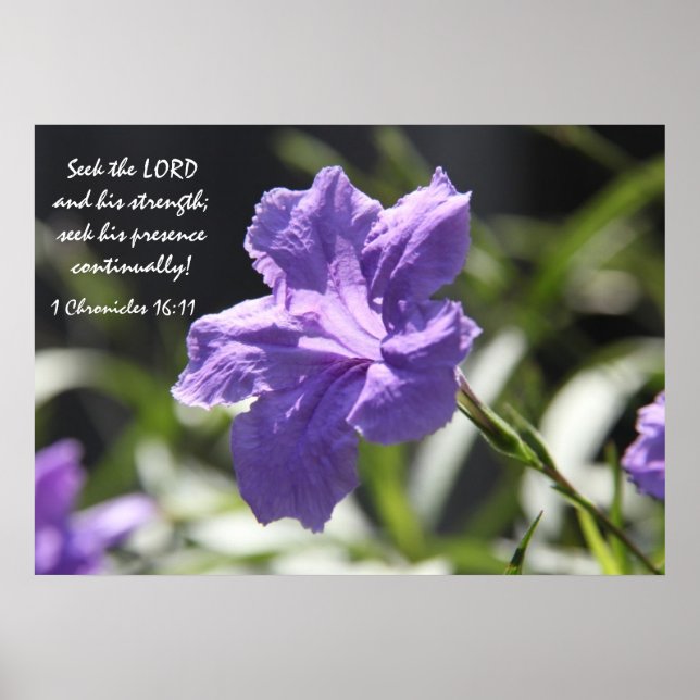 Poster Jolie floraison violette avec vers biblique sur la (Devant)