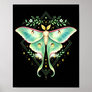 Poster Jolie papillon lune mignonne amateur d'insectes