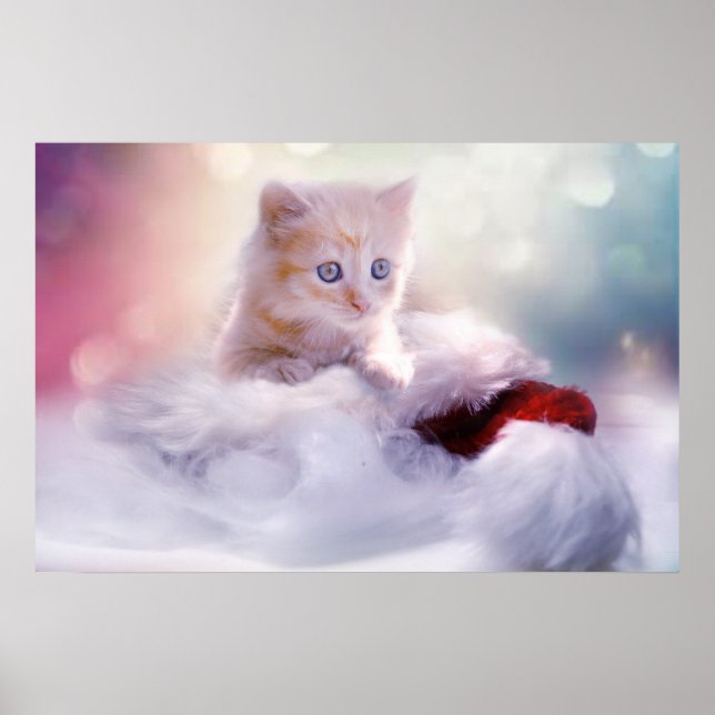 Poster Jolie photo Christmas Kitten (Devant)