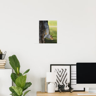 Poster Jolie photo de la nature d'un écureuil gris de l'E