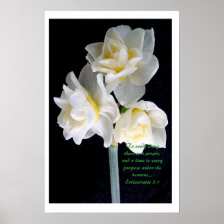 Poster Jonquil Flower - Ecclesiastes 3:1