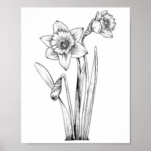 Poster Jonquille Jonquilles Fleurs Floral Printemps Pâque
