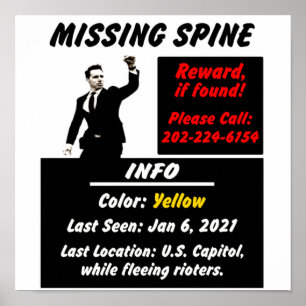 Poster Josh Hawley Missing Spine