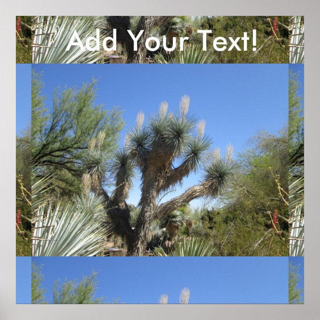 Poster Joshua Tree (Devant)