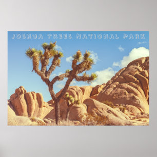 Poster Joshua Trees Parc National Paysage Paysage