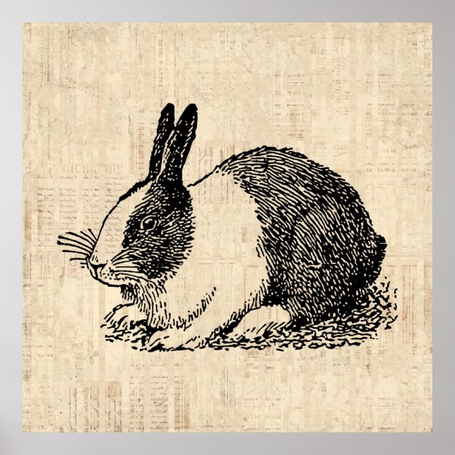 Poster Jote Lapin Lapin Illustration de l'art animal Vint (Devant)