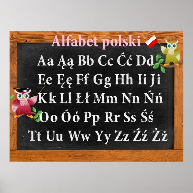 Poster Jote Professeur Owl Polonais Alphabet Alfabet pols (Devant)