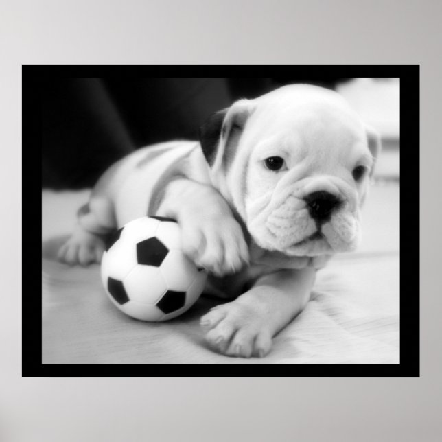 Poster "Jouons au football" English Bulldog (Devant)
