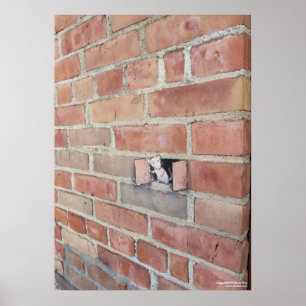 Poster Jour d'aération