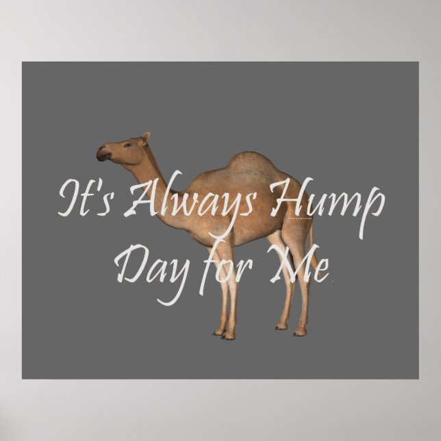 Poster Jour de la Humpe (Devant)