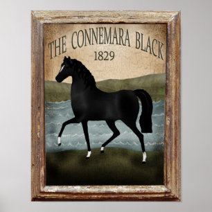 Poster Jour de la Saint Patrick Irish Horse, signature ag