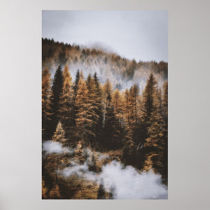 POSTER JOUR DE NUAGE ET ARBRES À L'HEURE DU JOUR