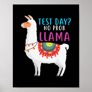 Poster Jour de test de démarrage Aucun problème Llama Tes