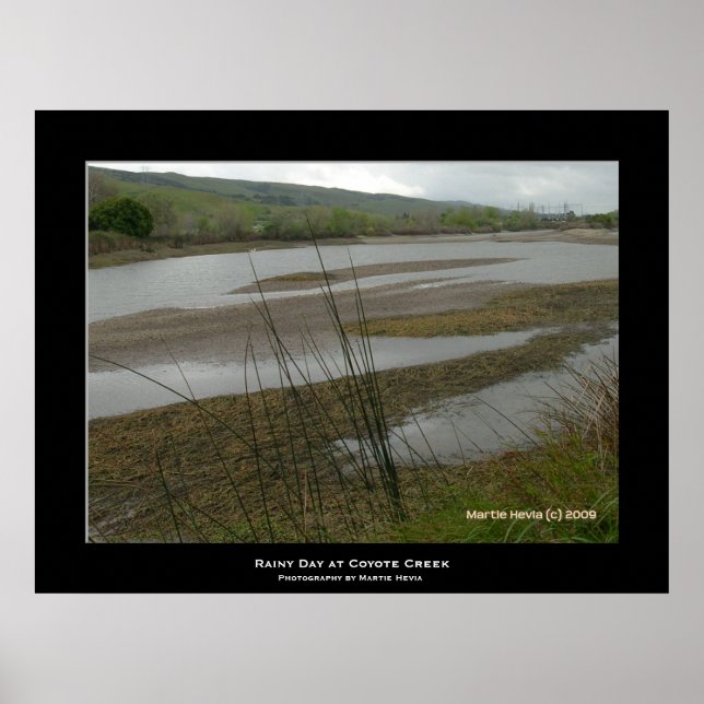 Poster "Jour des pluies de Coyote Creek" (Devant)