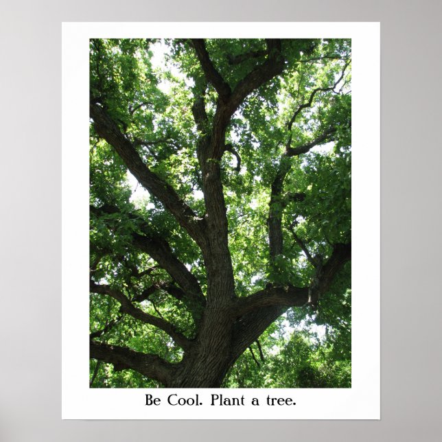 Poster jour des terres Plante-A-Arbre (Devant)