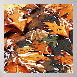 Poster Jour Pluvieux Feuilles