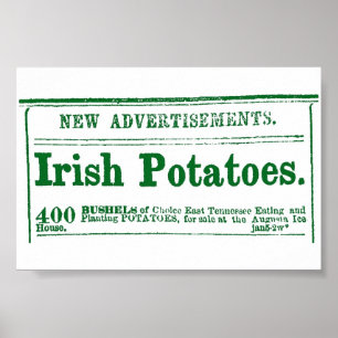 Poster Journal de pomme de terre irlandais Publicité Guer