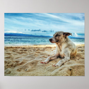 Poster Journée de farniente de chien à la plage, Ocean Sa