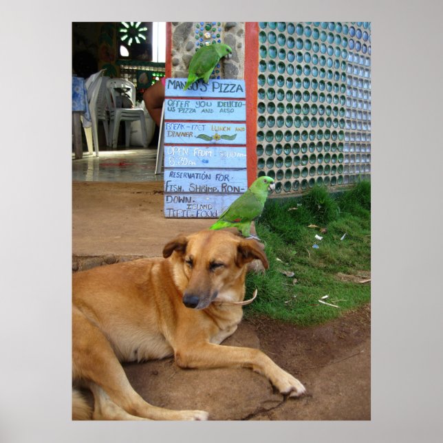 Poster Journée du chien à Little Corn Island (Devant)