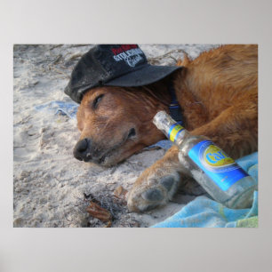 Poster Jours de chien