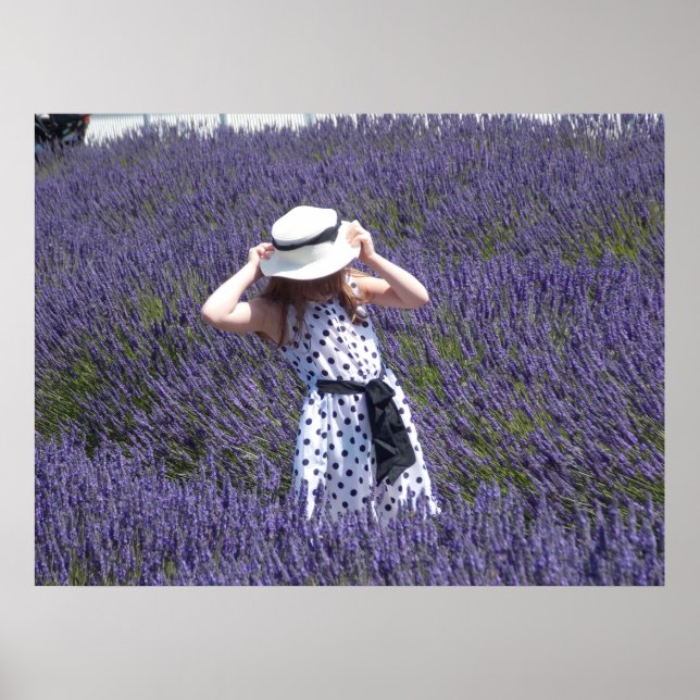 Poster Jours Lavender (Devant)