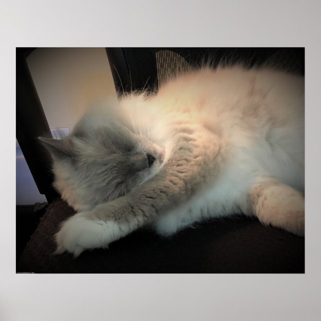 Poster Jours Lents, (Devant)