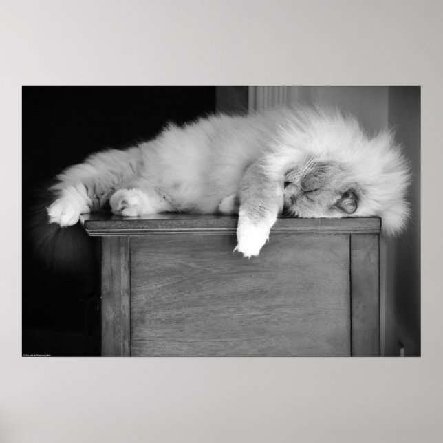 Poster Jours Lents, (Devant)