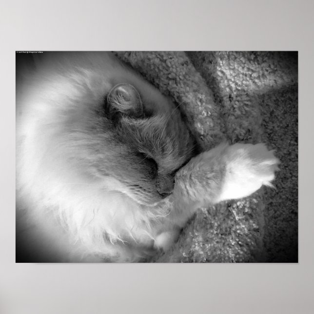 Poster Jours Lents, (Devant)