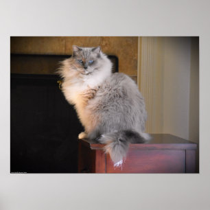 Poster Jours Lents,