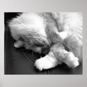 Poster Jours Lents,