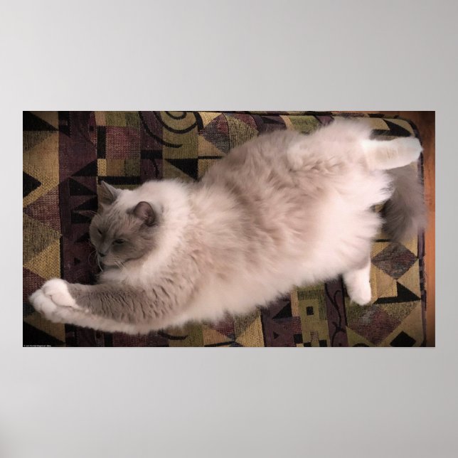 Poster Jours Lents, (Devant)