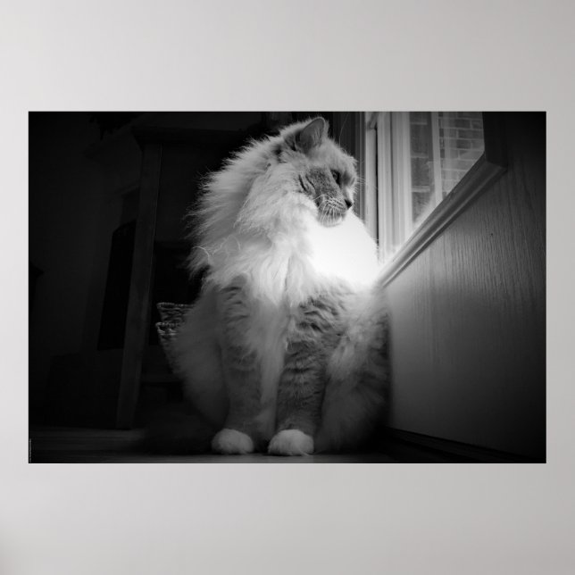 Poster Jours Lents, (Devant)