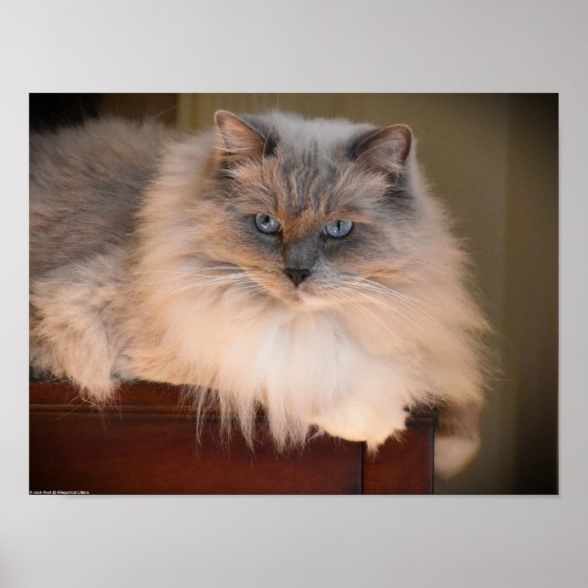 Poster Jours Lents, (Devant)