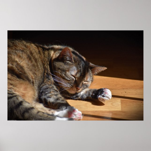 Poster Jours Lents, (Devant)