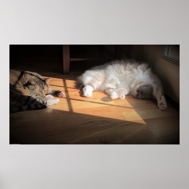 Poster Jours Lents, (Devant)